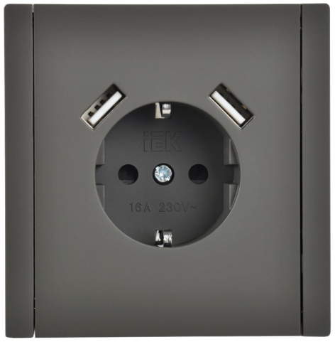 фото Розетка с заземлением с 2 USB  IEK FP-R14-16-U21-D31-K03 в Омске