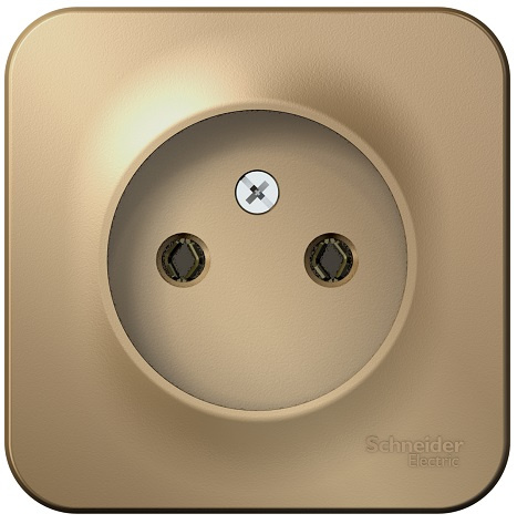 фото Розетка  Systeme Electric BLNRA000104 в Омске