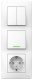 фото Розетка  Systeme Electric BLNBS101211 в Ростове-на-Дону