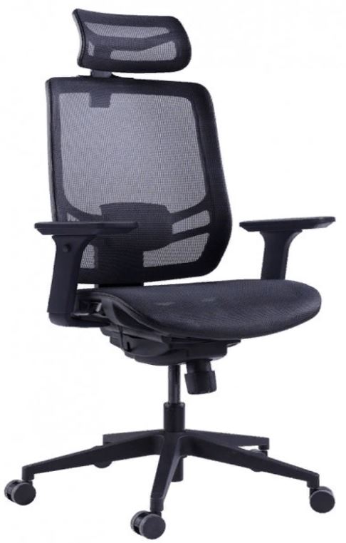 

Кресло GT Chair InFlex M цвет: черный, InFlex M