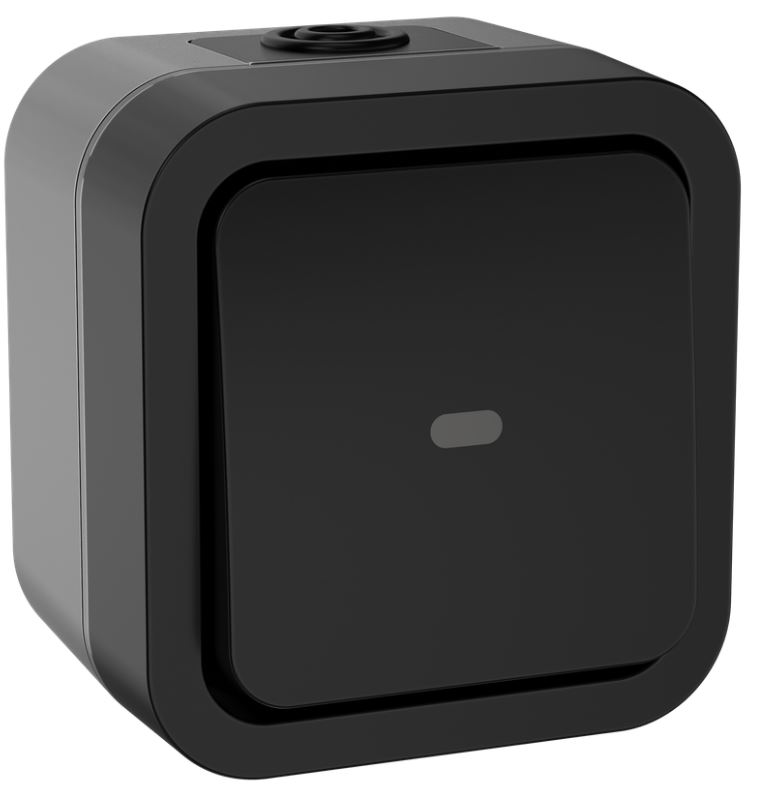 

Переключатель одноклавишный с подсветкой IEK TS-V10-1-10-55-K53 TORS 10А IP55 TS102 графит, TS-V10-1-10-55-K53