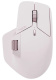 фото Мышь wireless Rapoo MT760M-PINK в Казани