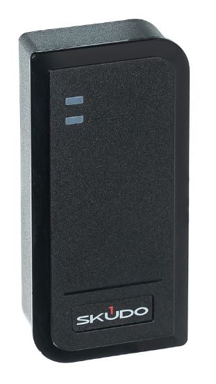 Изображение товара Skudo SK-CA2000P-E контроллер доступа с встроенным считывателем Em-marin 125 кГц