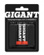 фото Аккумулятор Gigant G-AA2600-2