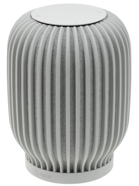 Изображение товара Портативная умная колонка Sber SberBoom SBDV-00090c с интеграцией в умный дом