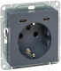 фото Розетка с заземлением с 2 USB  EKF UP1-SOG-111-2USBC