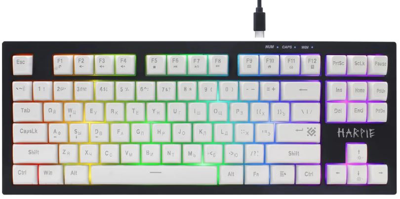 

Клавиатура Defender Harpie GK-401 45401 проводная игровая RU, чер/бел, 87кн+FN, радуж, 1.5м, Harpie GK-401