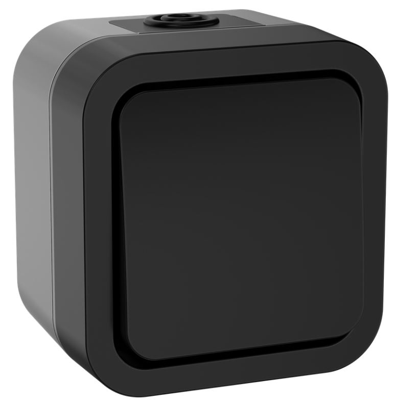 

Переключатель одноклавишный IEK TS-V10-0-10-55-K53 TORS 10А IP55 TS101 графит, TS-V10-0-10-55-K53