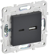 фото Розетка USB IEK SK-U22-018-K53