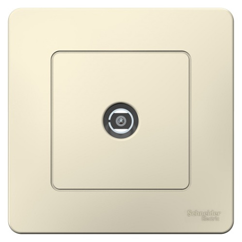 фото Розетка  Systeme Electric BLNTS000012 в Омске