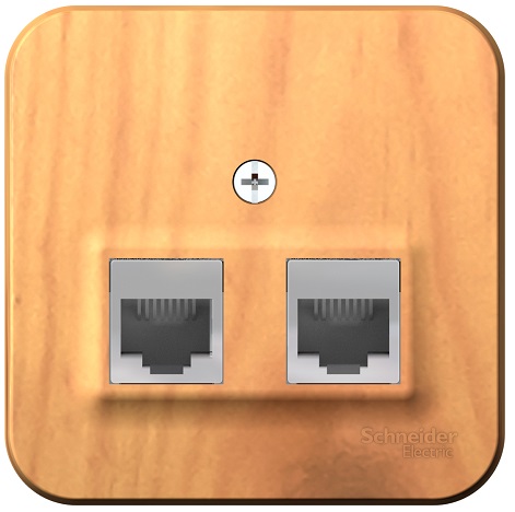 

Розетка Schneider Electric BLNIA045455 2-ая компьютерная RJ45, кат.5E, изолир. пластина Ясень наруж, BLNIA045455