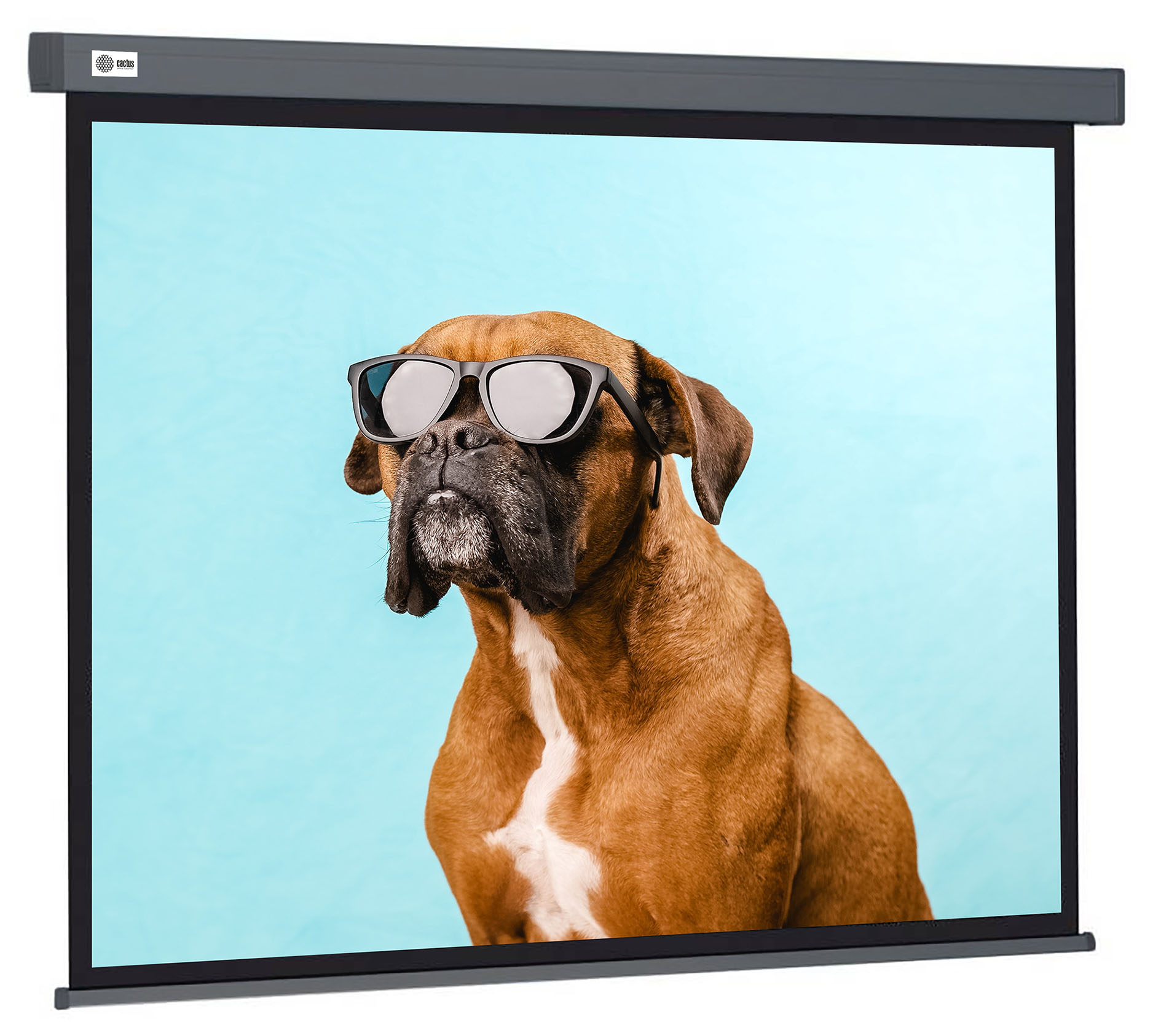 

Экран Cactus CS-PSW-149X265-SG 149.4x265.7см wallscreen 16:9 настенно-потолочный рулонный серый, CS-PSW-149X265-SG