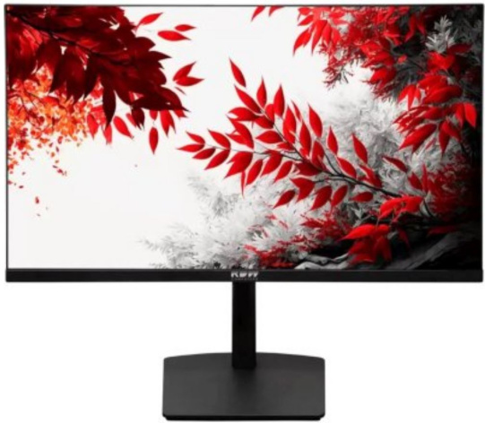 Изображение товара Монитор 31,5" RDW Computers RDW3207