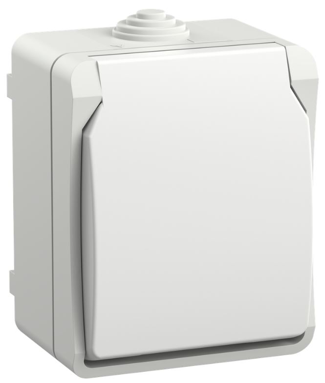 

Розетка с заземлением IEK ERS12-K01-16-54-DC FORS с защитными шторками открытой установки 16А IP54 РСб20-3-ФБ белый, ERS12-K01-16-54-DC