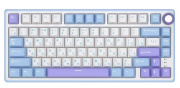 фото Клавиатура проводная  Royal Kludge R75