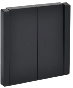 фото Переключатель двухклавишный IEK FP-V22-1-10-1-K02
