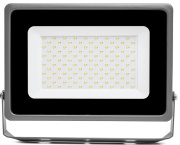 фото Прожектор WOLTA WFL-100W/07