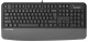 фото Клавиатура  A4Tech Fstyler FK20 в Омске