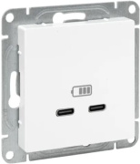 фото Розетка USB  EKF UP1-SOW-2USBC