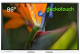 фото Интерактивная панель  Geckotouch 86SL в Санкт-Петербургe