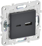 фото Розетка USB IEK SK-U22-D31-K48