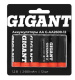 фото Аккумулятор Gigant G-AA2600-12