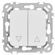фото Выключатель двухклавишный  IEK FI-V15-0-10-1-K01