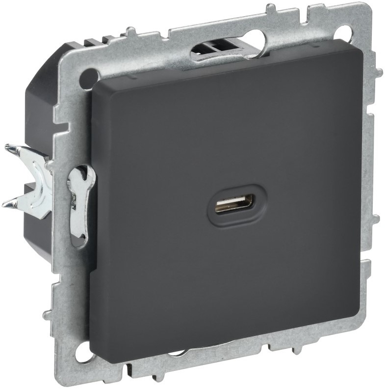 

Розетка USB IEK BR-U13-065-K53 BRITE Type C 65Вт высокоскоростная зарядка РЮ12-1-БрГ графит, BR-U13-065-K53