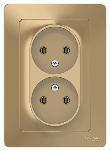 фото Розетка  Systeme Electric BLNRS000024 в Омске