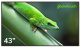 фото Панель  Geckotouch 43DH в Смоленске