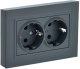 фото Розетка двухместная с заземлением  IEK BR-R28-16-K53-F в Санкт-Петербургe