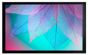 фото Экран Cactus CS-PSFRE-220X124