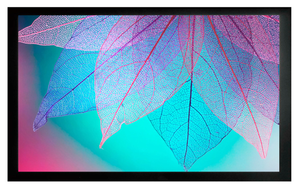 Изображение товара Натяжной экран Cactus CS-PSFRE 220x124 для короткофокусных проекторов