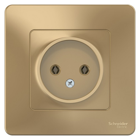 фото Розетка  Systeme Electric BLNRS000014 в Омске