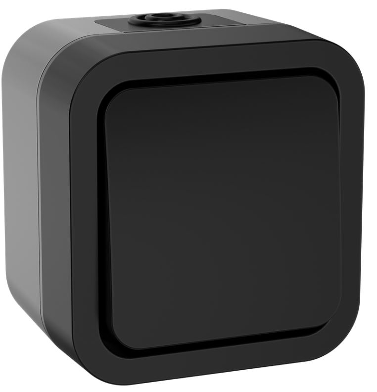 

Выключатель кнопочный IEK TS-V14-0-10-55-K53 TORS 10А IP55 TS110 графит, TS-V14-0-10-55-K53