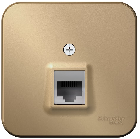 

Розетка Schneider Electric BLNIA045004 компьютерная RJ45, кат.5E, изолир. пластина Титан наруж, BLNIA045004