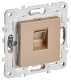 фото Розетка компьютерная  IEK SK-K10-2-K98 в Ростове-на-Дону