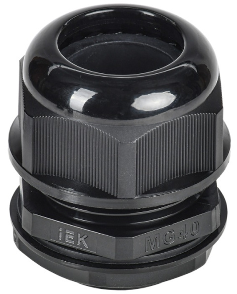 Изображение товара Сальник IEK YSA20-28-40-68-K02 для узлов вращения