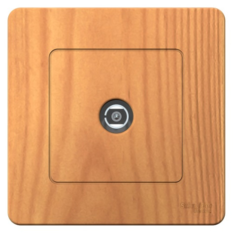 Изображение товара Розетка Systeme Electric BLNTS000015 с современным дизайном