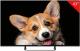 фото Телевизор  TopDevice TDTV43CS03U_BK в Санкт-Петербургe