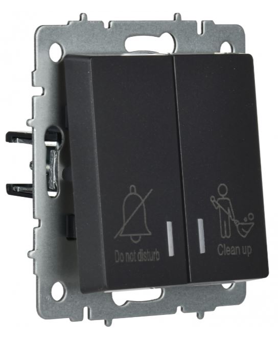 

Выключатель двухклавишный с подсветкой IEK BR-V20-2-10-K02 BRITE отел. 10А ВС10-2-9-БрЧ Черный, BR-V20-2-10-K02