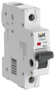 фото Выключатель-разъединитель  IEK AR-SWN-1-080