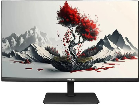 Изображение товара Монитор RDW Computers RDW2401K 23.8 Full HD IPS 120 Гц
