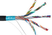 фото Кабель витая пара Netlan EC-UF025-5-PE-BK-3