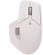 фото Мышь wireless Rapoo MT760L