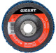 фото Диск Gigant G-KOR-06