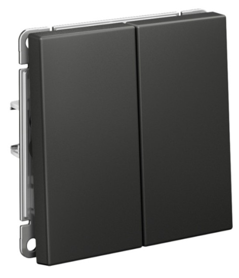 фото Выключатель двухклавишный  Systeme Electric GAL001417S в Красноярске