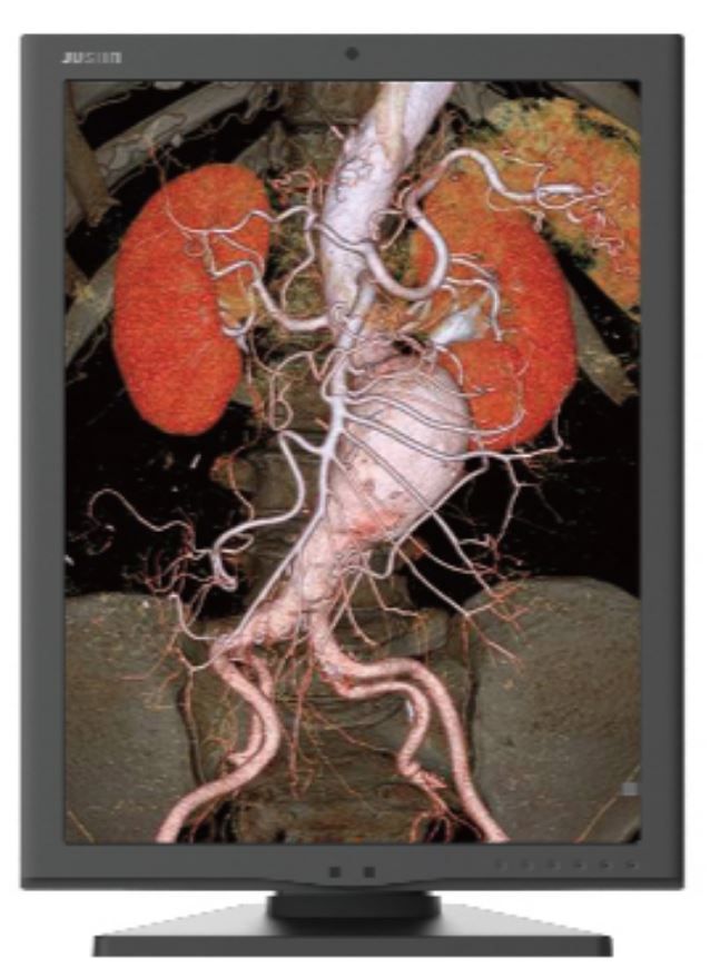 

Монитор 21,3" Jusha JUSHA-M350G 2048х1536, 4:3, 2000cd, 1700:1, 20ms, 178/178, black, JUSHA-M350G