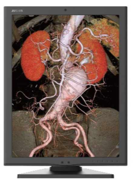 Изображение товара Медицинский монитор Jusha JUSHA-M350G 21.3 IPS 2048x1536 монтирование