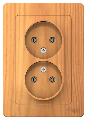 

Розетка Schneider Electric BLNRS000025 2-ая б/з без шторок, 16А, 250В Ясень внутр, BLNRS000025